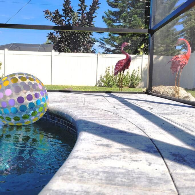 Blue Door Retreat - Luxury Pool Home - Sleeps 8 Cape Coral Exterior foto